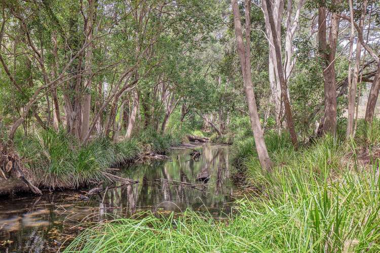 Main view of Homely acreageSemiRural listing, 172 Cedar Creek Road, Cedar Creek QLD 4207