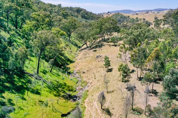 Fifth view of Homely lifestyle listing, Bortolot Road, Huon Creek VIC 3691