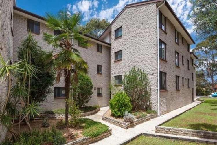 Main view of Homely unit listing, 36/205 Waterloo Road, Marsfield NSW 2122