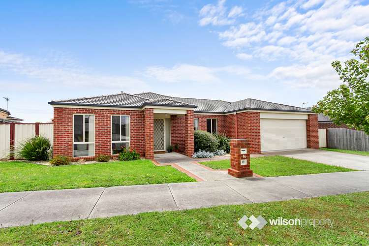 Main view of Homely house listing, 16 Kangaroo Grass Rise, Traralgon VIC 3844