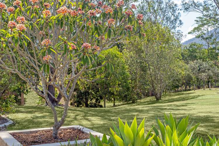 Fifth view of Homely house listing, 8 Norwood Court, Highvale QLD 4520