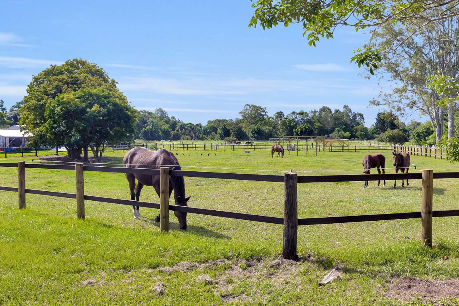 Main view of Homely acreageSemiRural listing, 12 Gunsynd Drive, Mudgeeraba QLD 4213