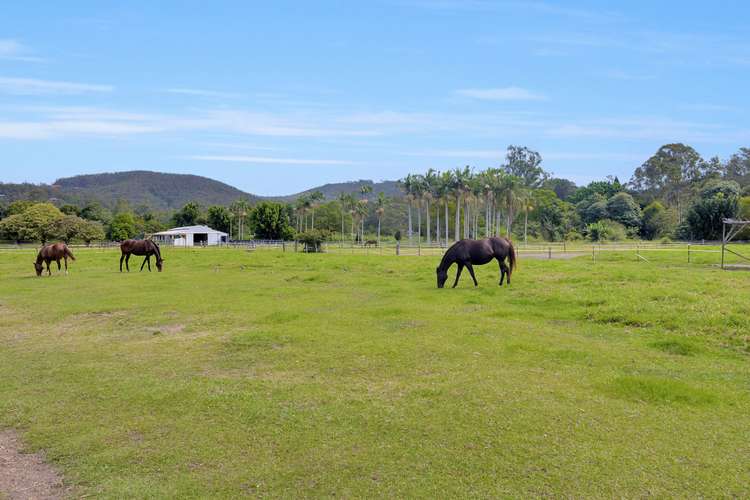 Fifth view of Homely acreageSemiRural listing, 12 Gunsynd Drive, Mudgeeraba QLD 4213