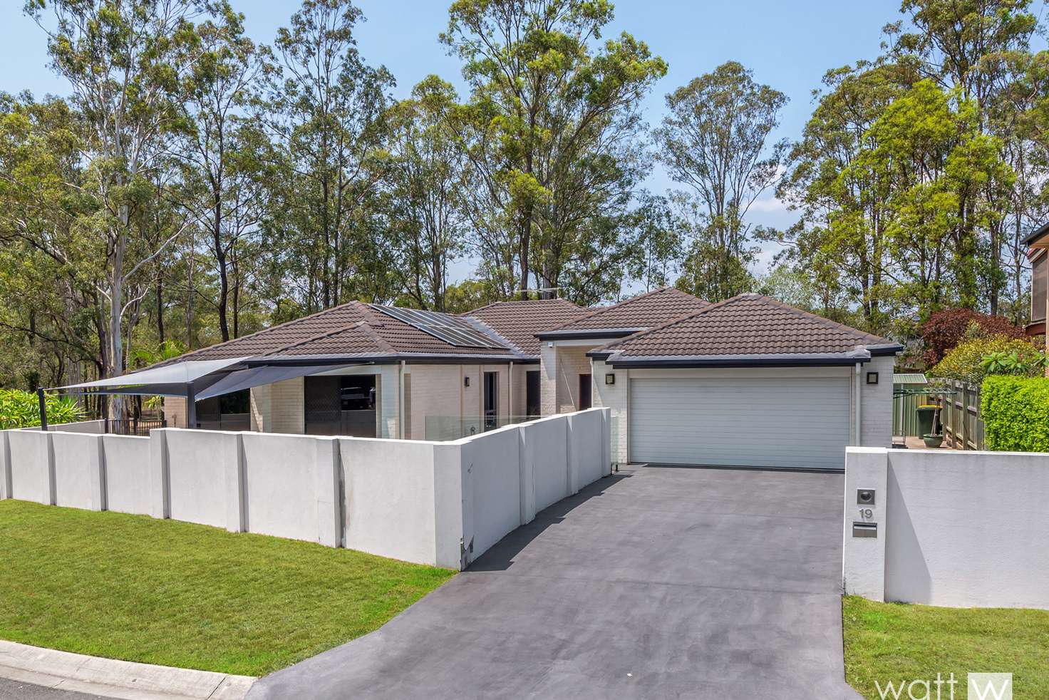 Main view of Homely house listing, 19 Boxwood Place, Carseldine QLD 4034