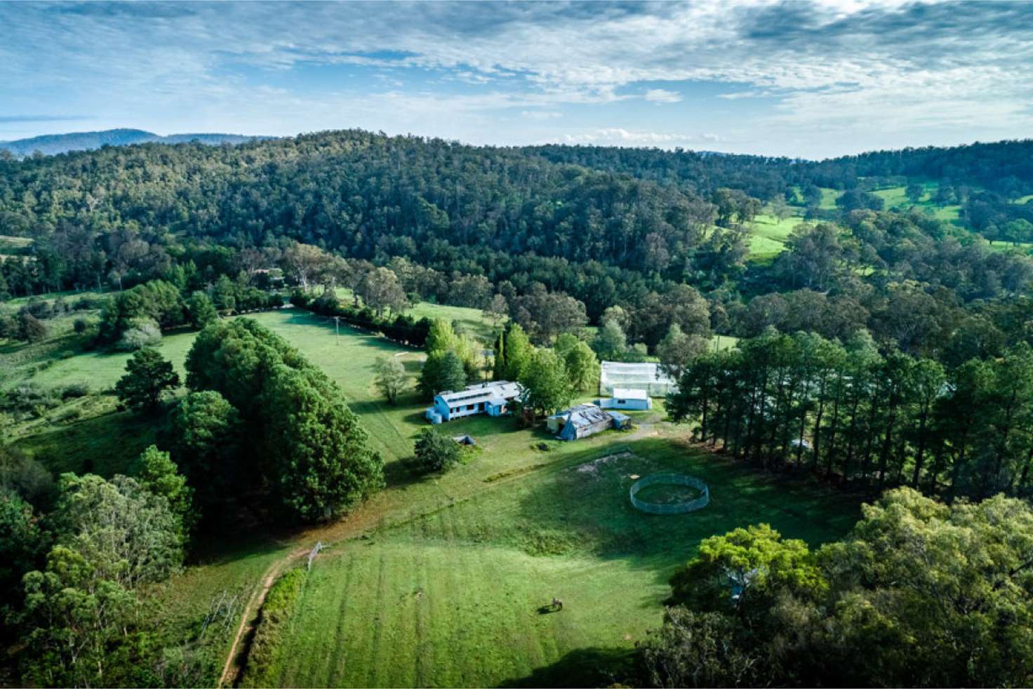 Main view of Homely cropping listing, 1971 Tyringham Road, Dorrigo NSW 2453