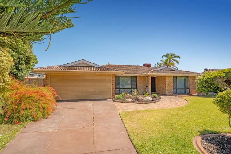 Main view of Homely house listing, 16 Harman Road, Sorrento WA 6020