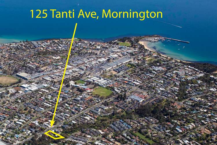 Main view of Homely house listing, 125 Tanti Avenue, Mornington VIC 3931