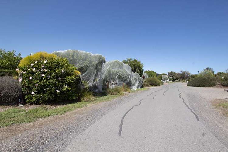 Seventh view of Homely residentialLand listing, Lot 5 167 Port Road, Aldinga Beach SA 5173