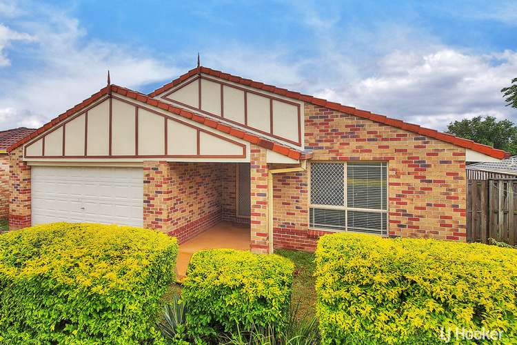 Main view of Homely house listing, 49 Shelduck Place, Calamvale QLD 4116