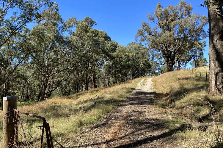 Main view of Homely residentialLand listing, 171 Twist Creek Road, Yackandandah VIC 3749