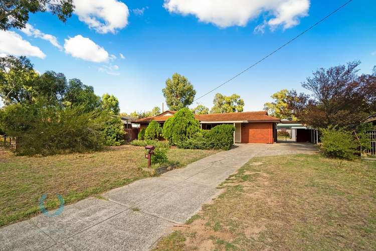 Main view of Homely house listing, 7 Larch Place, Forrestfield WA 6058