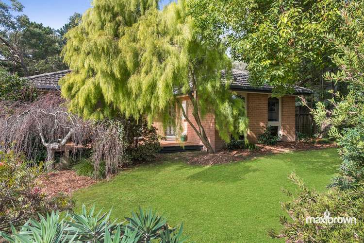 Main view of Homely house listing, 16 St James Avenue, Montrose VIC 3765