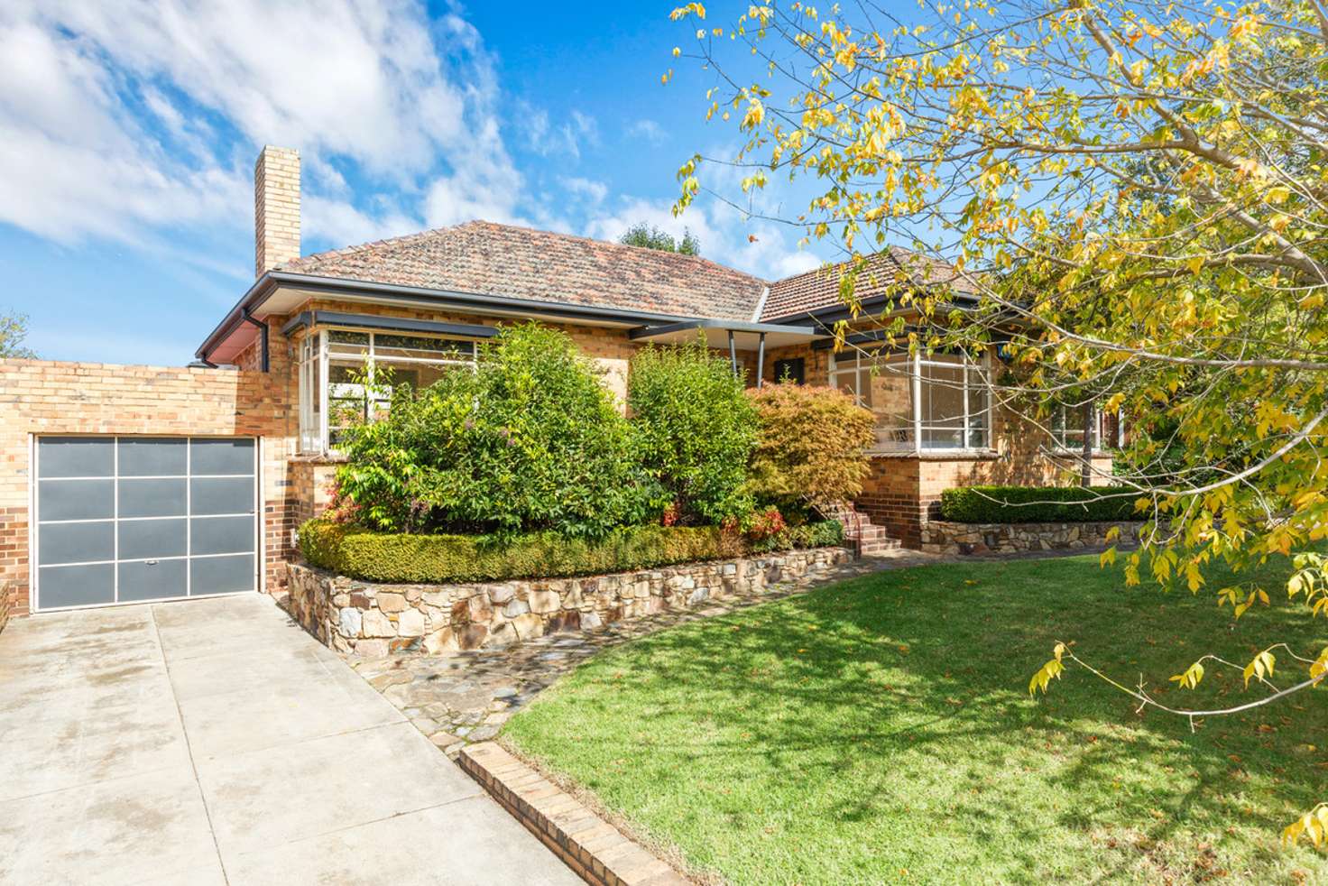 Main view of Homely house listing, 464 Belmore Road, Mont Albert North VIC 3129