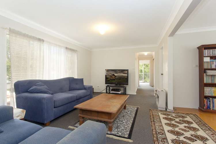 Fifth view of Homely house listing, 15 Berna Street, Canterbury NSW 2193
