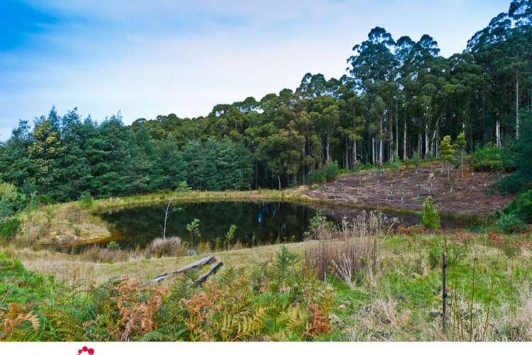 Fourth view of Homely residentialLand listing, Lookout Road, Port Arthur TAS 7182