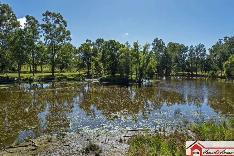 Main view of Homely acreageSemiRural listing, 2107 beaudesert beenleigh Road, Tamborine QLD 4270