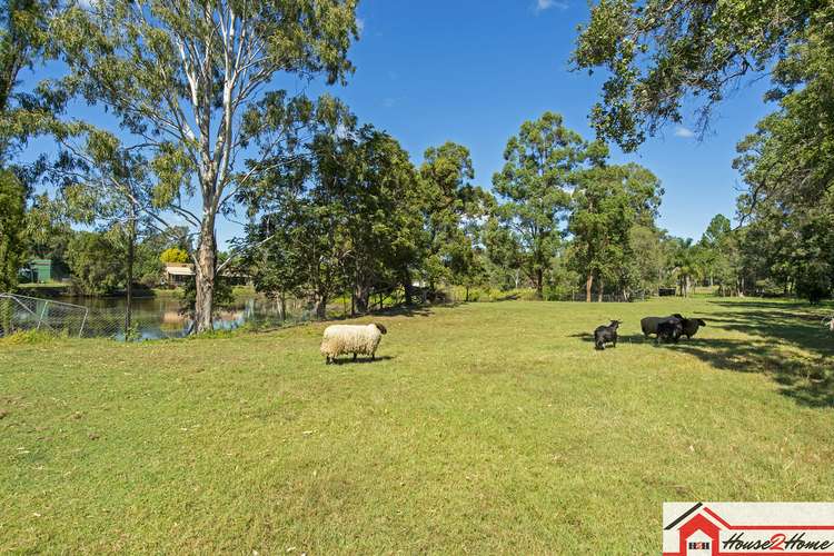 Fourth view of Homely acreageSemiRural listing, 2107 beaudesert beenleigh Road, Tamborine QLD 4270