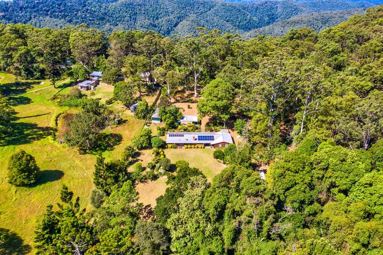 Fourth view of Homely acreageSemiRural listing, 1842 Springbrook Road, Springbrook QLD 4213