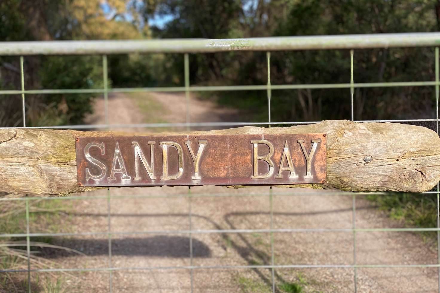 Main view of Homely house listing, 111 Sandy Road, Fingal VIC 3939