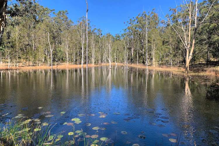 Barry's Bridge Road, Pillar Valley NSW 2462