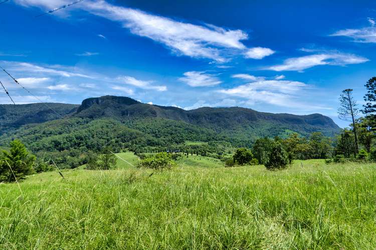 Third view of Homely residentialLand listing, LOT 21, 3138 Nerang Murwillumbah Road, Natural Bridge QLD 4211