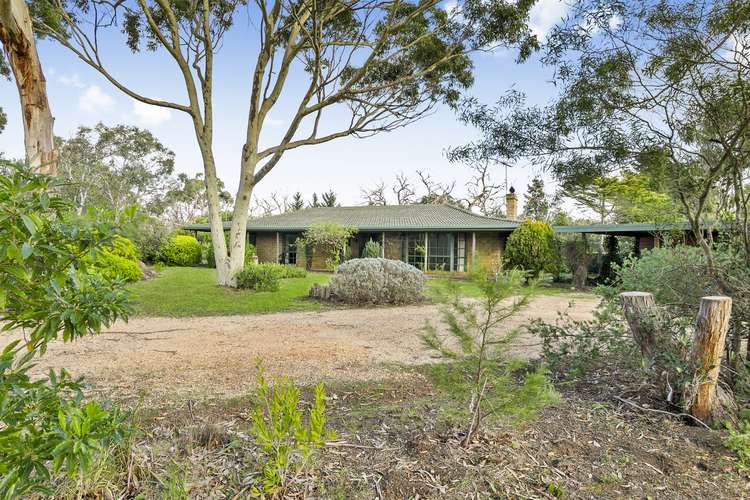 Main view of Homely house listing, 590 Great Ocean Road, Bellbrae VIC 3228