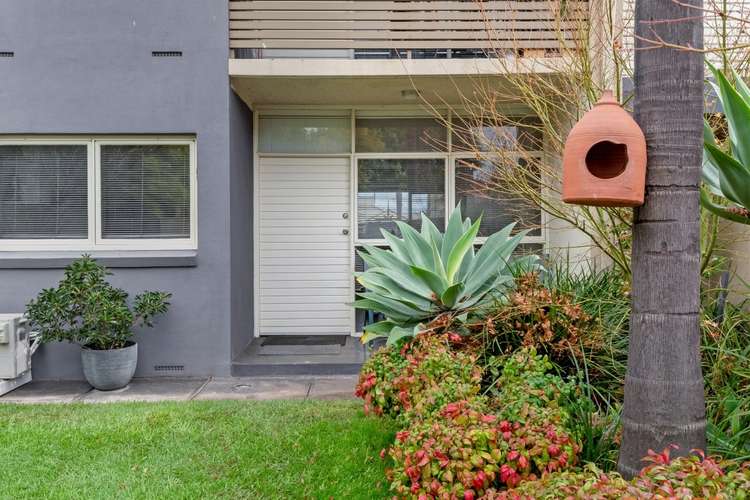 Main view of Homely unit listing, 3/35-39 Sydney Street, Glenside SA 5065