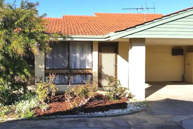 Main view of Homely villa listing, 5/149 Wanneroo Road, Tuart Hill WA 6060