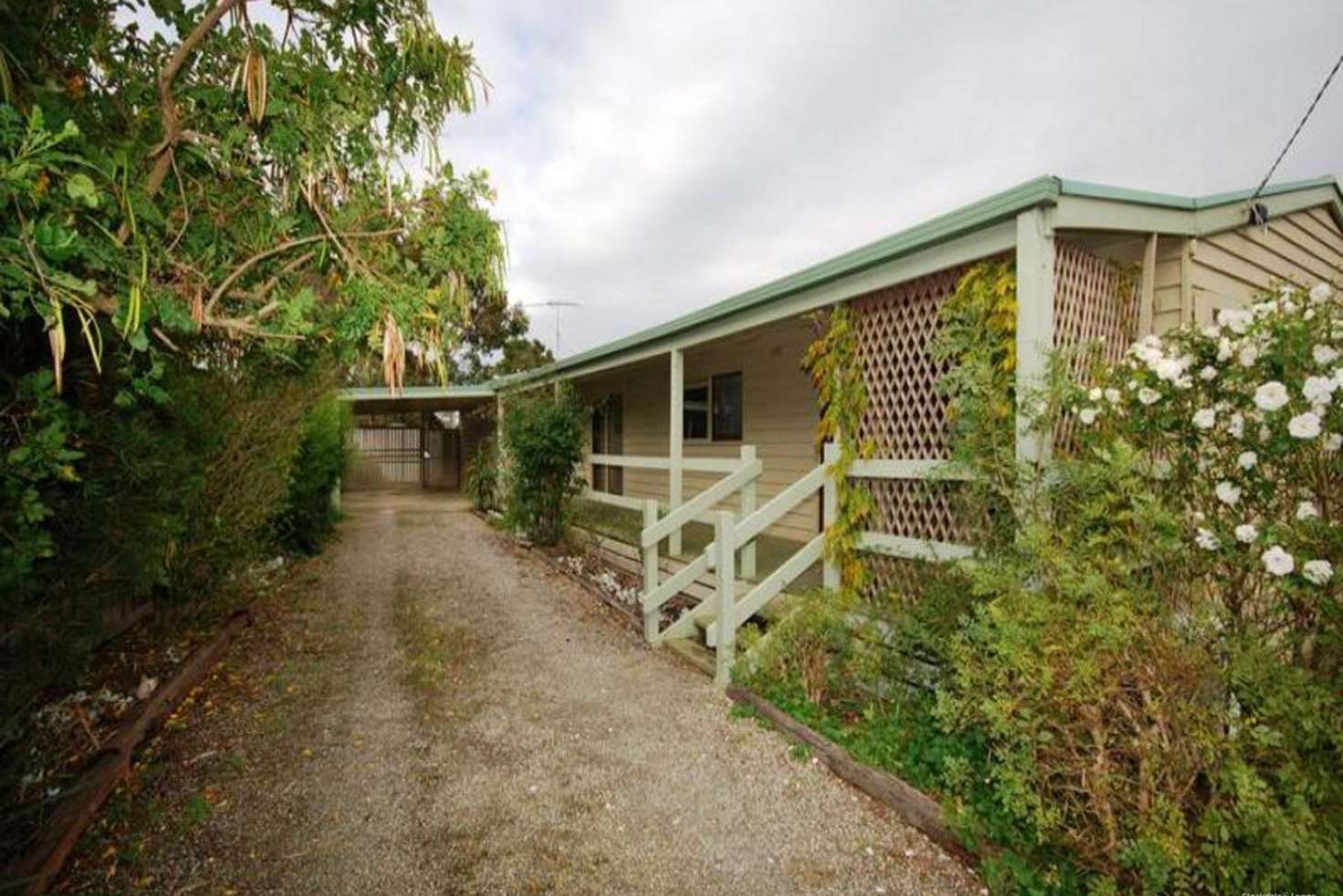 Main view of Homely house listing, 36 Carolanne Drive, Drysdale VIC 3222