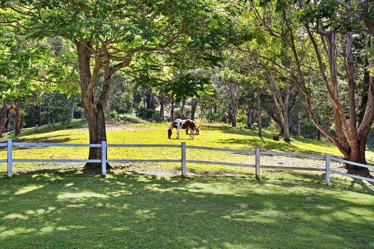 Fifth view of Homely house listing, 266 Tallebudgera Creek Road, Tallebudgera Valley QLD 4228