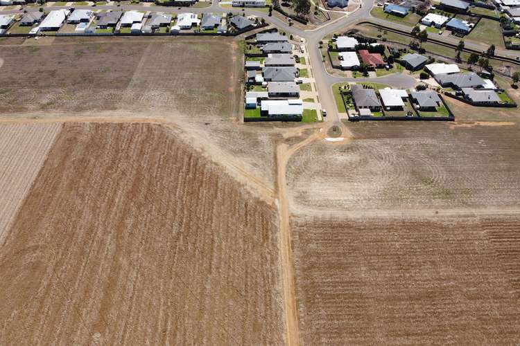 Third view of Homely residentialLand listing, LOT 190 Brookfield Estate, Ashfield QLD 4670