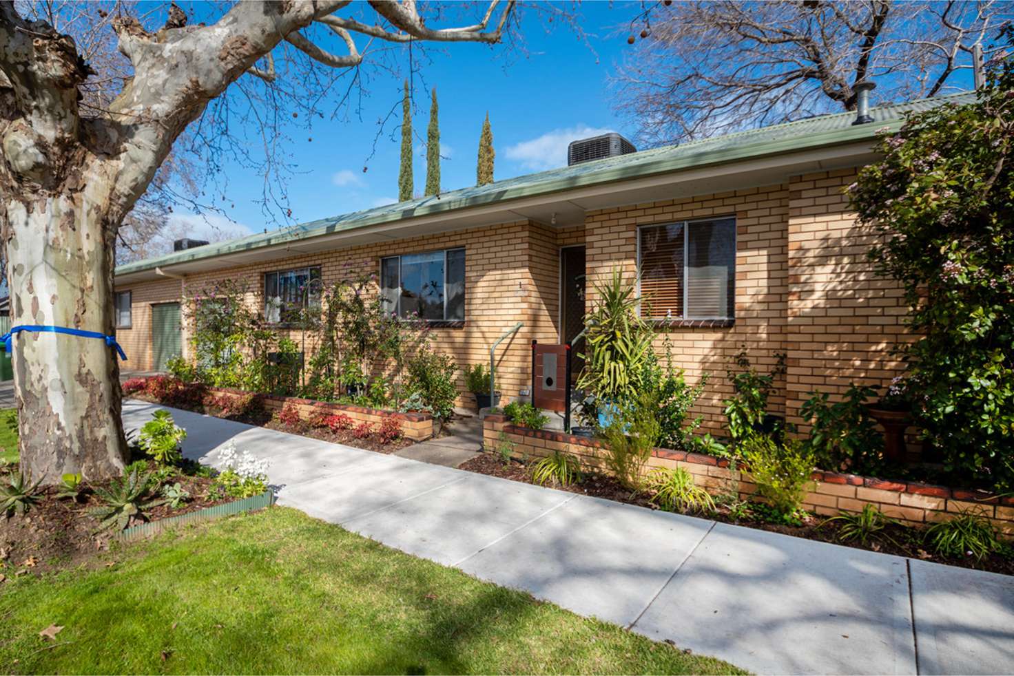 Main view of Homely unit listing, 1/540 Thurgoona Street, Albury NSW 2640