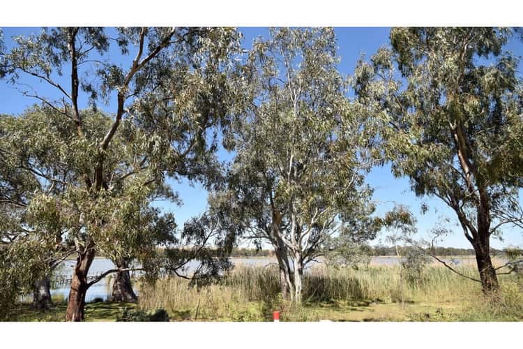Seventh view of Homely house listing, 369 Purnong Road, Mannum SA 5238