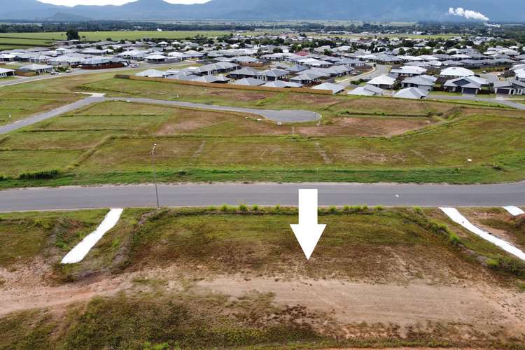 Second view of Homely residentialLand listing, Lot 503 Goessling Street, Gordonvale QLD 4865