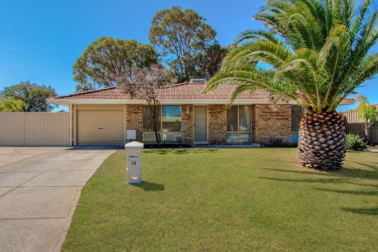 Main view of Homely house listing, 14 Fox Close, Waikiki WA 6169