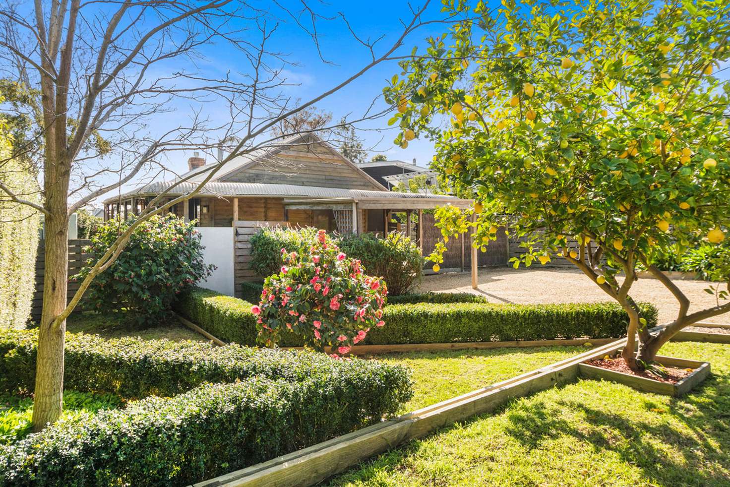 Main view of Homely house listing, 21 Bundara Crescent, Mount Eliza VIC 3930