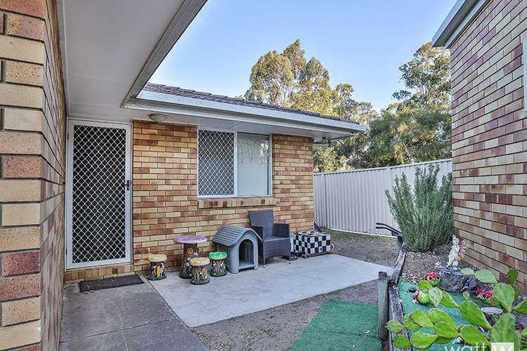 Main view of Homely house listing, 18 Brolga Place, Zillmere QLD 4034