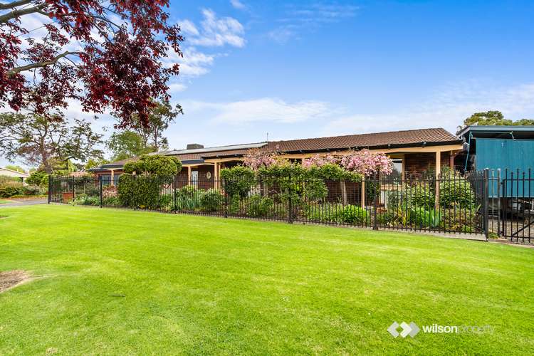 Main view of Homely house listing, 17 Campbell Street, Traralgon VIC 3844