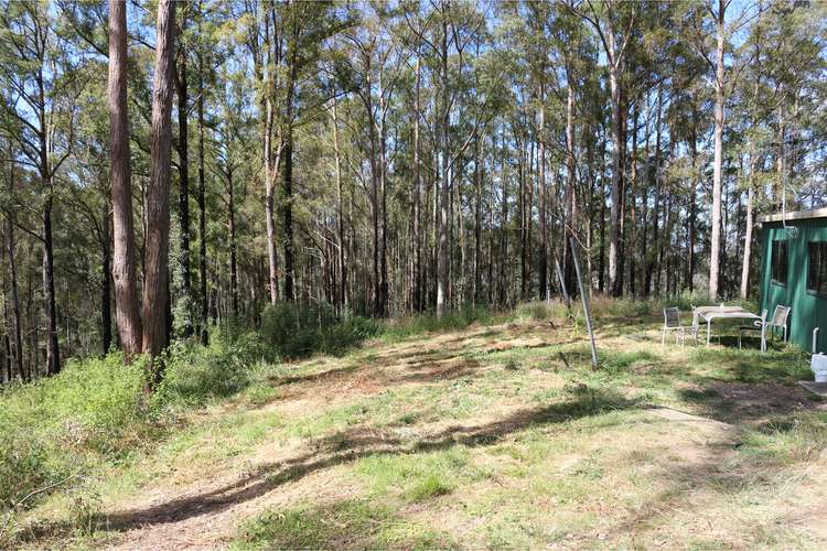 Third view of Homely lifestyle listing, 395 Knodingbul Forest Road, Mount George NSW 2424