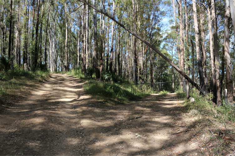 Fourth view of Homely lifestyle listing, 395 Knodingbul Forest Road, Mount George NSW 2424