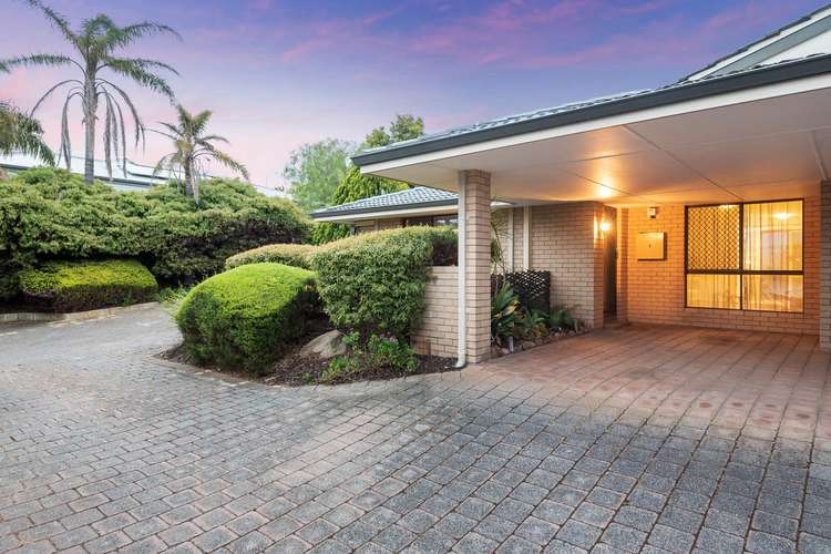 Main view of Homely villa listing, 4/99 Moulden Avenue, Yokine WA 6060