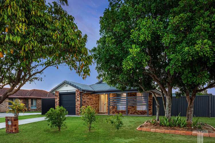 Main view of Homely house listing, 10 Pannikin Place, Tingalpa QLD 4173