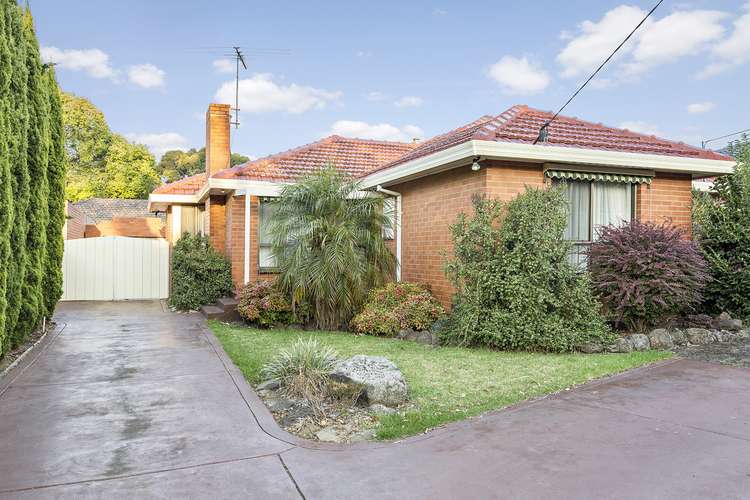 Main view of Homely house listing, 13 Primrose Street, Blackburn North VIC 3130