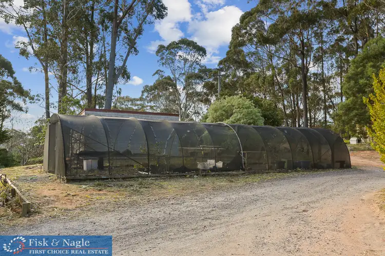 Fourth view of Homely house listing, 32 Myrtle Road via Candelo, Candelo NSW 2550