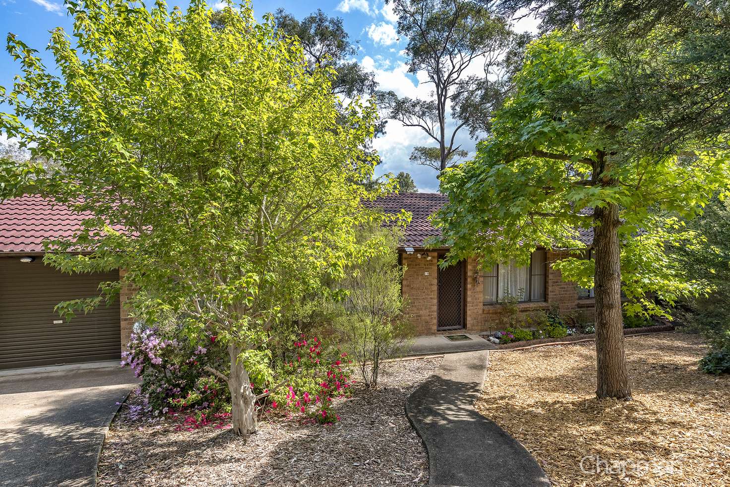 Main view of Homely house listing, 19 Anne Crescent, Blaxland NSW 2774