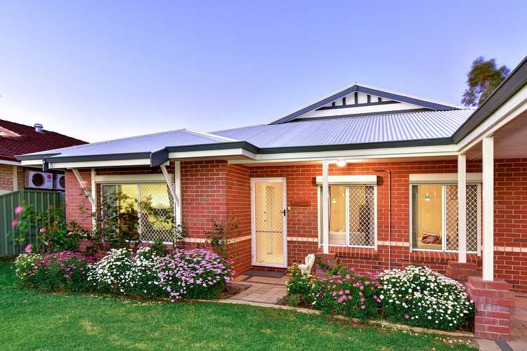 Main view of Homely house listing, 11 Brunswick Circuit, Banksia Grove WA 6031