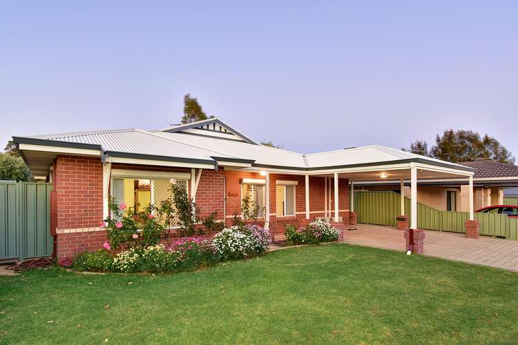 Second view of Homely house listing, 11 Brunswick Circuit, Banksia Grove WA 6031