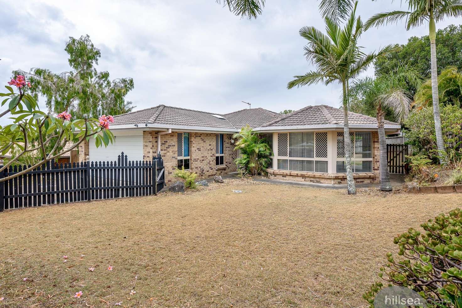 Main view of Homely house listing, 19 Greenacre Drive, Parkwood QLD 4214