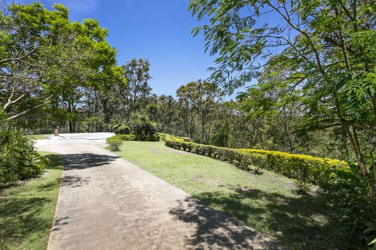 Fifth view of Homely residentialLand listing, LOT 8, 463 Trees Road, Tallebudgera QLD 4228