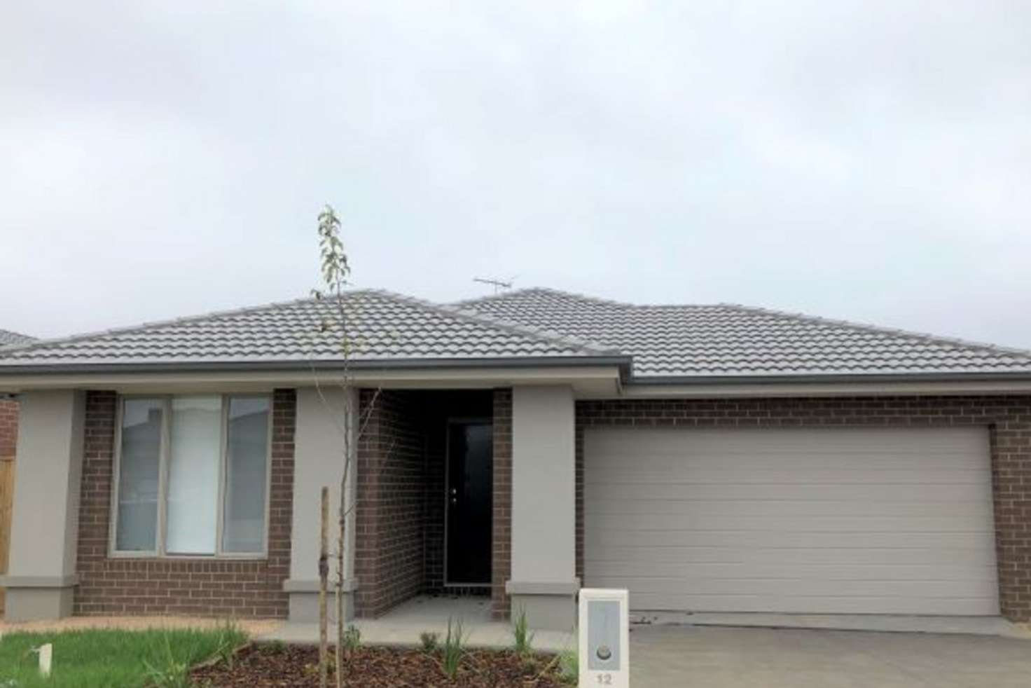 Main view of Homely house listing, 12 Hedge Street, Armstrong Creek VIC 3217